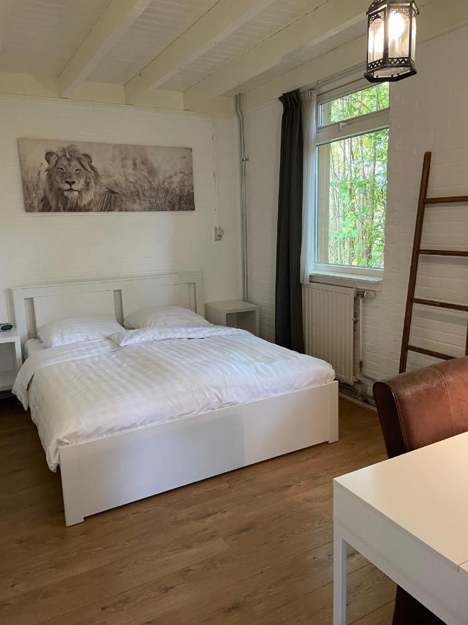 Вилла Tofino, Een Comfortabel Vakantiehuis Naast Een Bos En Zwemmeer Gasselte Экстерьер фото